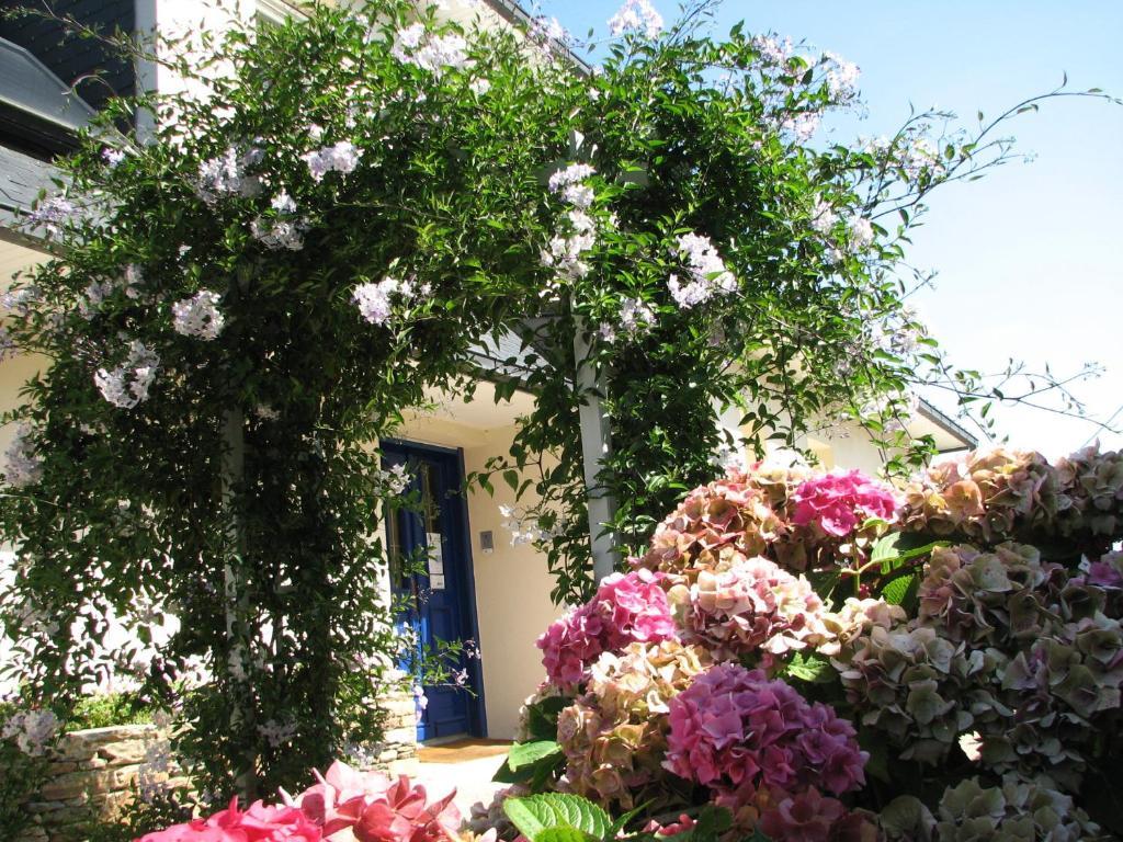 L'Escale Evel Er Ger Bed & Breakfast Locquirec Ngoại thất bức ảnh
